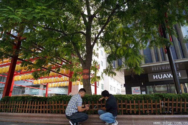 呵護芙蓉樹，攜手共成長
