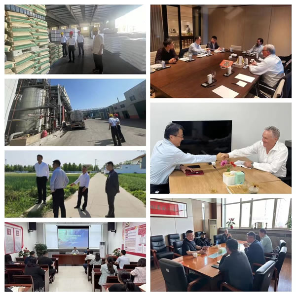 輕工供銷公司在深化調(diào)查研究中推動主題教育走深走實